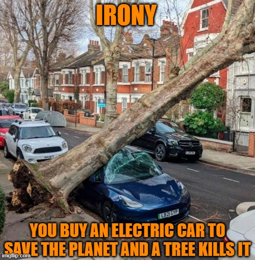 Isn't It Ironic ? | IRONY; YOU BUY AN ELECTRIC CAR TO SAVE THE PLANET AND A TREE KILLS IT | image tagged in car,planet,electric,tree,kill,funny meme | made w/ Imgflip meme maker