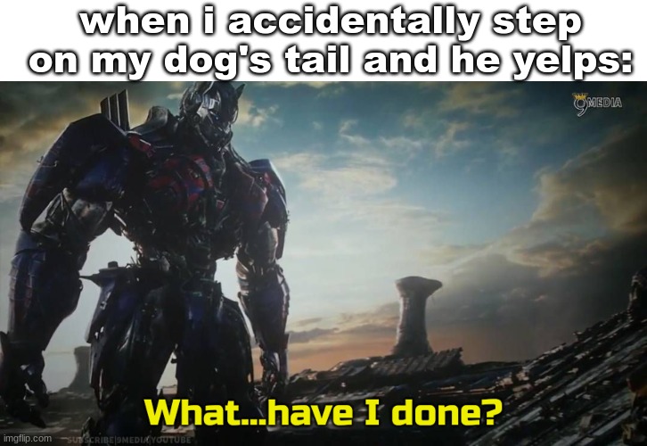when i accidentally step on my dog's tail and he yelps: | image tagged in optimus prime what have i done | made w/ Imgflip meme maker