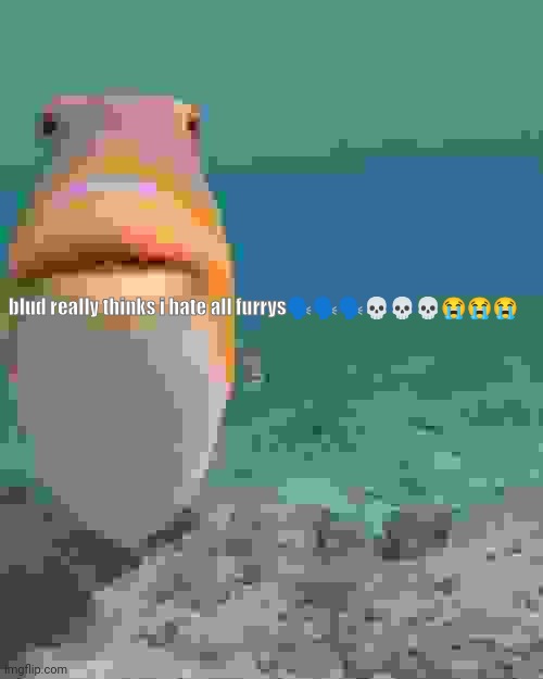 staring fish | blud really thinks i hate all furrys?️?️?️?????? | image tagged in staring fish | made w/ Imgflip meme maker