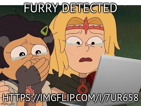 Crying at computer | FURRY DETECTED; HTTPS://IMGFLIP.COM/I/7UR658 | image tagged in crying at computer | made w/ Imgflip meme maker