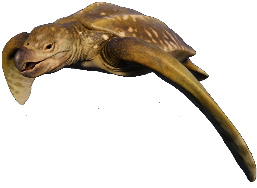 Archelon (JWE Design) Blank Meme Template