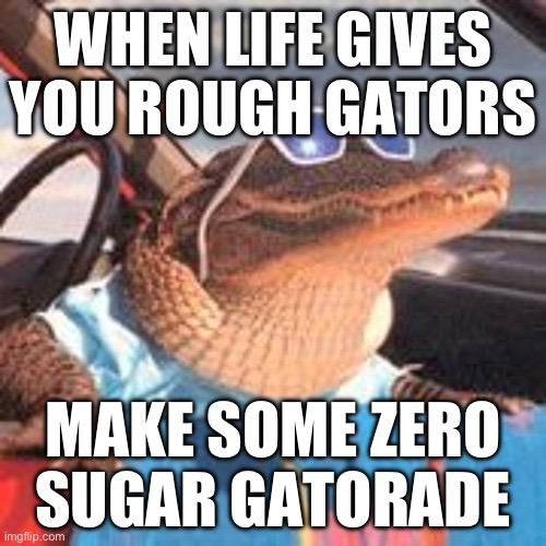 Cool Gator | WHEN LIFE GIVES YOU ROUGH GATORS; MAKE SOME ZERO SUGAR GATORADE | image tagged in cool gator | made w/ Imgflip meme maker
