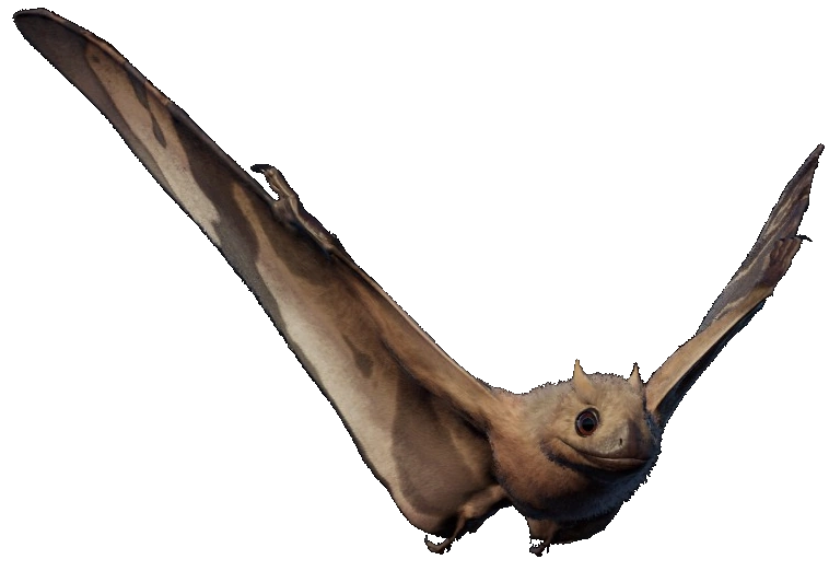 Jeholopterus 2 (JWE Design) Blank Meme Template