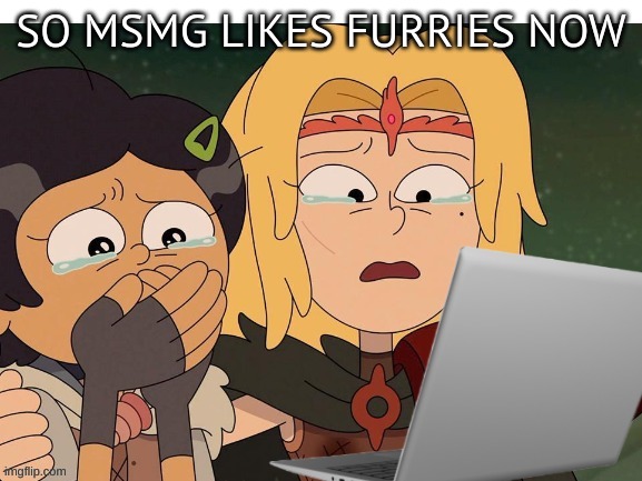 Crying at computer | SO MSMG LIKES FURRIES NOW | image tagged in crying at computer | made w/ Imgflip meme maker