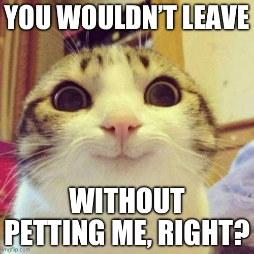 Smiling Cat Meme | YOU WOULDN’T LEAVE; WITHOUT PETTING ME, RIGHT? | image tagged in memes,smiling cat | made w/ Imgflip meme maker