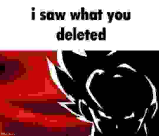 i saw what you deleted | image tagged in i saw what you deleted | made w/ Imgflip meme maker