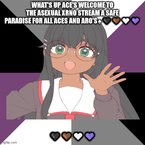 Junadaylowqus da e | WHAT'S UP ACE'S WELCOME TO THE ASEXUAL XRNO STREAM A SAFE PARADISE FOR ALL ACES AND ARO'S♠🖤🤎🤍💜; 🖤🤎🤍💜 | image tagged in asexual,aro memes,siouxie will make it through the week | made w/ Imgflip meme maker