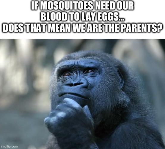 Deep Thoughts | IF MOSQUITOES NEED OUR BLOOD TO LAY EGGS…
DOES THAT MEAN WE ARE THE PARENTS? | image tagged in deep thoughts,mosquitoes,shower thoughts,funny,memes,relatable | made w/ Imgflip meme maker