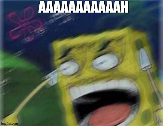 AAH | AAAAAAAAAAAH | image tagged in aah | made w/ Imgflip meme maker