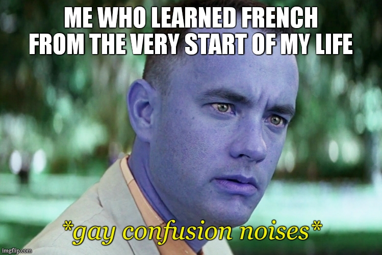 And Just Like That Meme | ME WHO LEARNED FRENCH FROM THE VERY START OF MY LIFE *gay confusion noises* | image tagged in memes,and just like that | made w/ Imgflip meme maker