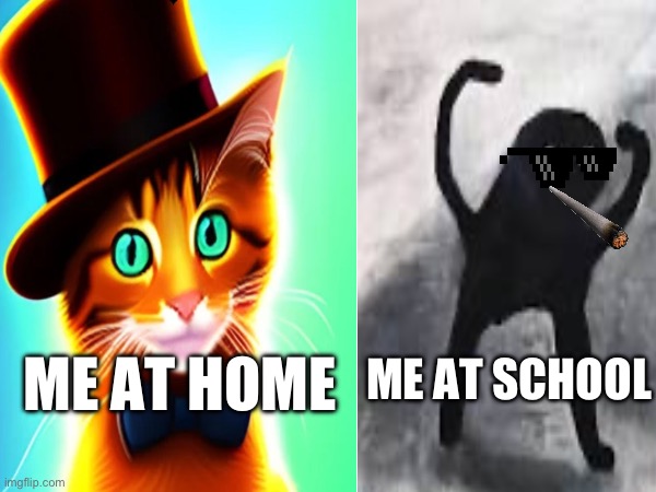 Home vs school | ME AT HOME; ME AT SCHOOL | image tagged in cats,school,home | made w/ Imgflip meme maker