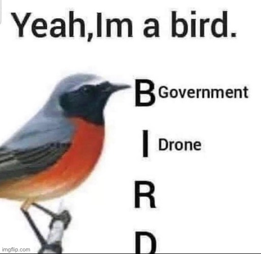 … | made w/ Imgflip meme maker