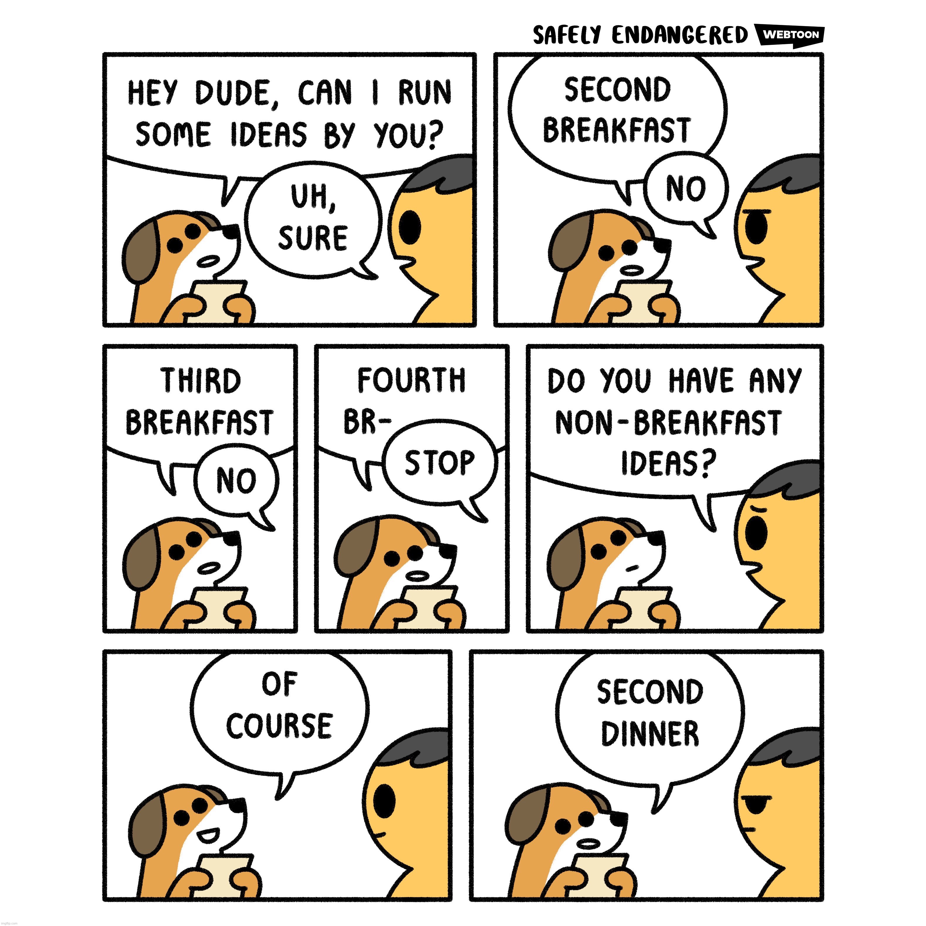 my cat is like this too | image tagged in comics/cartoons,comic,dogs | made w/ Imgflip meme maker