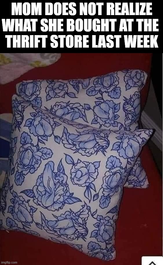 MOM DOES NOT REALIZE WHAT SHE BOUGHT AT THE 
THRIFT STORE LAST WEEK | image tagged in pillow | made w/ Imgflip meme maker