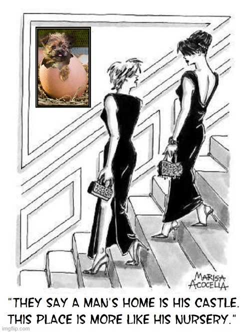 Some Women See Men As Children | image tagged in vince vance,evening wear,ladies,staircase,men,comics/cartoons | made w/ Imgflip meme maker
