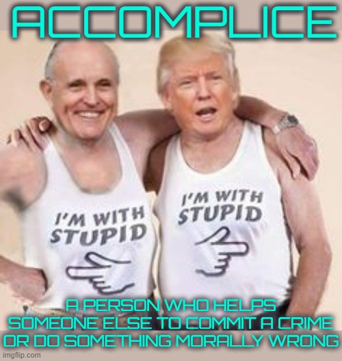 ACCOMPLICE | ACCOMPLICE; A PERSON WHO HELPS SOMEONE ELSE TO COMMIT A CRIME OR DO SOMETHING MORALLY WRONG | image tagged in accomplice,co-conspirator,abettor,collaborator,henchman,partner-in-crime | made w/ Imgflip meme maker