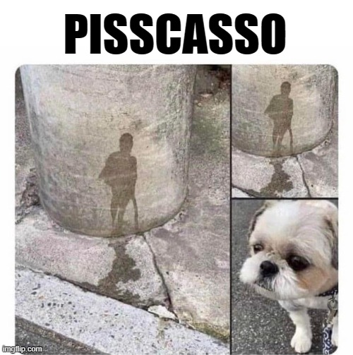 PISSCASSO | made w/ Imgflip meme maker