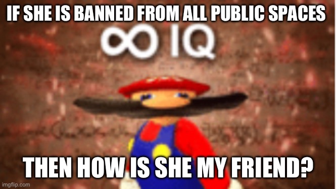 Infinite IQ | IF SHE IS BANNED FROM ALL PUBLIC SPACES THEN HOW IS SHE MY FRIEND? | image tagged in infinite iq | made w/ Imgflip meme maker