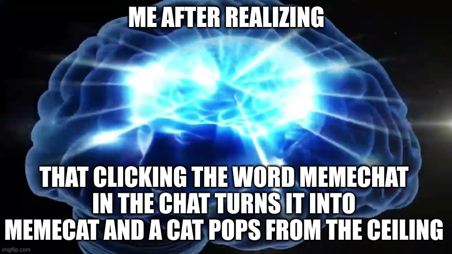Memechat | ME AFTER REALIZING; THAT CLICKING THE WORD MEMECHAT IN THE CHAT TURNS IT INTO MEMECAT AND A CAT POPS FROM THE CEILING | image tagged in but you didn't have to cut me off,imgflip,memecat | made w/ Imgflip meme maker