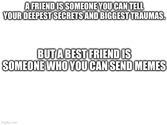 Blank White Template | A FRIEND IS SOMEONE YOU CAN TELL YOUR DEEPEST SECRETS AND BIGGEST TRAUMAS. BUT A BEST FRIEND IS SOMEONE WHO YOU CAN SEND MEMES | image tagged in blank white template | made w/ Imgflip meme maker