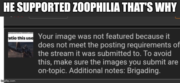 And wth is bridgating | HE SUPPORTED ZOOPHILIA THAT'S WHY | made w/ Imgflip meme maker