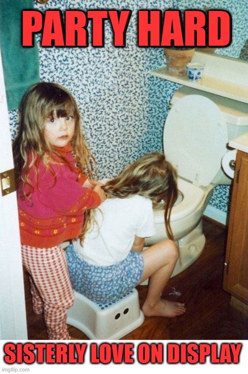 PARTY HARD; SISTERLY LOVE ON DISPLAY | image tagged in sisters | made w/ Imgflip meme maker