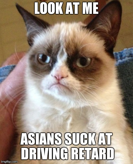 Grumpy Cat Meme | LOOK AT ME ASIANS SUCK AT DRIVING RETARD | image tagged in memes,grumpy cat | made w/ Imgflip meme maker