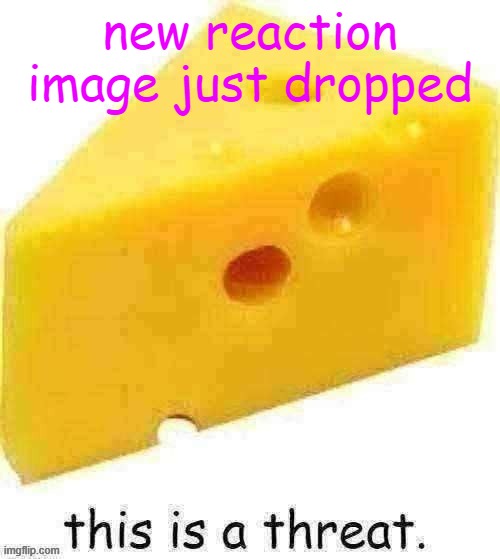 this is a threat | new reaction image just dropped | image tagged in this is a threat | made w/ Imgflip meme maker