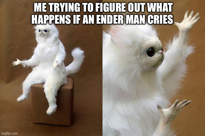 •_• | ME TRYING TO FIGURE OUT WHAT HAPPENS IF AN ENDER MAN CRIES | image tagged in memes,persian cat room guardian | made w/ Imgflip meme maker