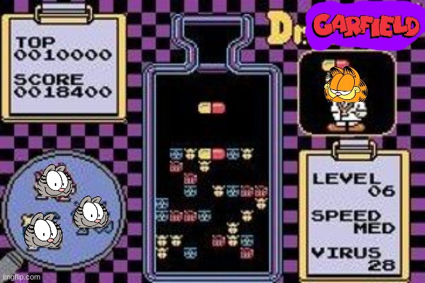 if garfield was in dr mario | image tagged in dr mario,garfield,video games,nintendo entertainment system | made w/ Imgflip meme maker