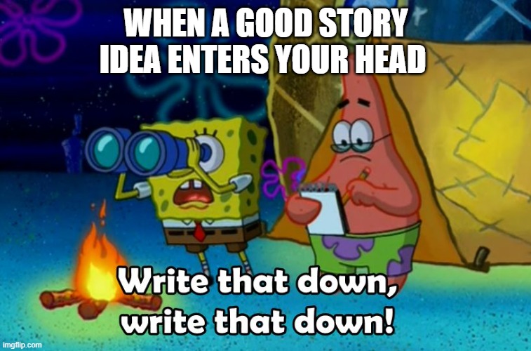Got to write it down before it disappear completely | WHEN A GOOD STORY IDEA ENTERS YOUR HEAD | image tagged in write that down | made w/ Imgflip meme maker