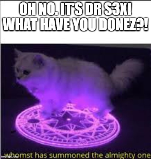 Whomst has Summoned the almighty one | OH NO. IT'S DR S3X! WHAT HAVE YOU DONEZ?! | image tagged in whomst has summoned the almighty one | made w/ Imgflip meme maker