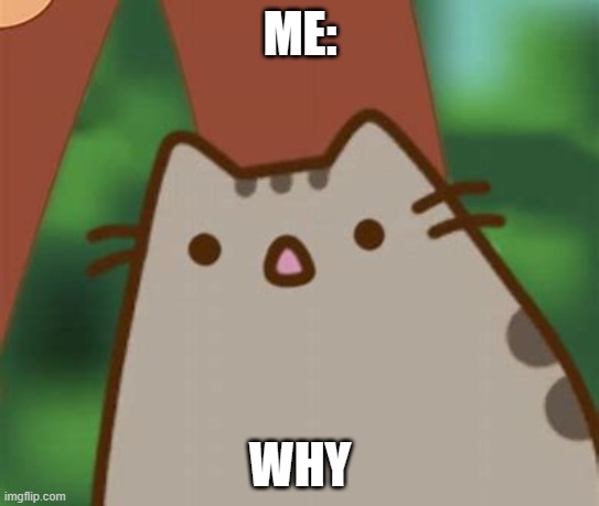 WHY | ME:; WHY | image tagged in surprised pusheen cat | made w/ Imgflip meme maker