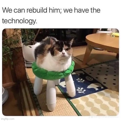 WE HAVE TECHNOLOGY *smashes computer* | image tagged in cat | made w/ Imgflip meme maker