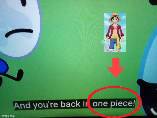 One piece referencre!?!! | image tagged in onepiece,bfdi,bfb | made w/ Imgflip meme maker