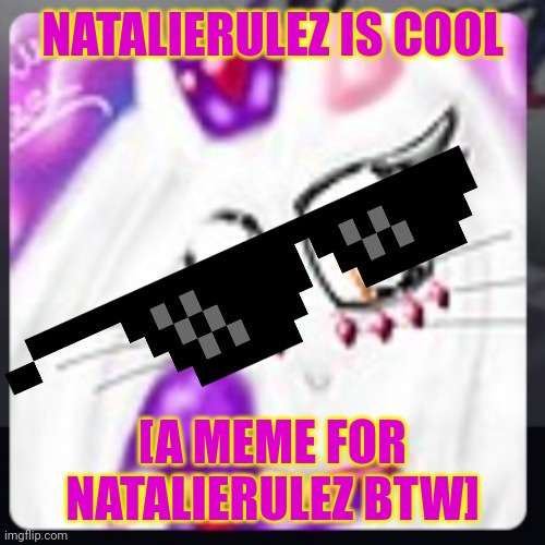 NatalieRulez is cool | NATALIERULEZ IS COOL; [A MEME FOR NATALIERULEZ BTW] | image tagged in natalierulez | made w/ Imgflip meme maker