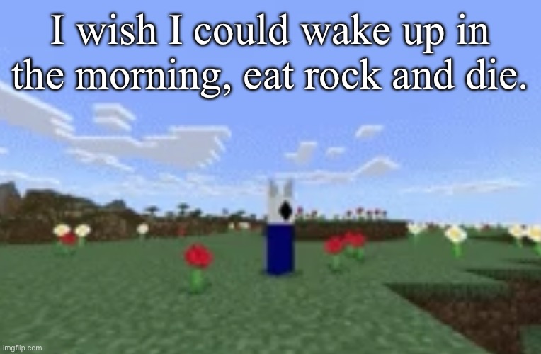 swssgsahadessdwdmMienHSJWNCWRAFFTFDDRTRD | I wish I could wake up in the morning, eat rock and die. | image tagged in swssgsahadessdwdmmienhsjwncwrafftfddrtrd | made w/ Imgflip meme maker