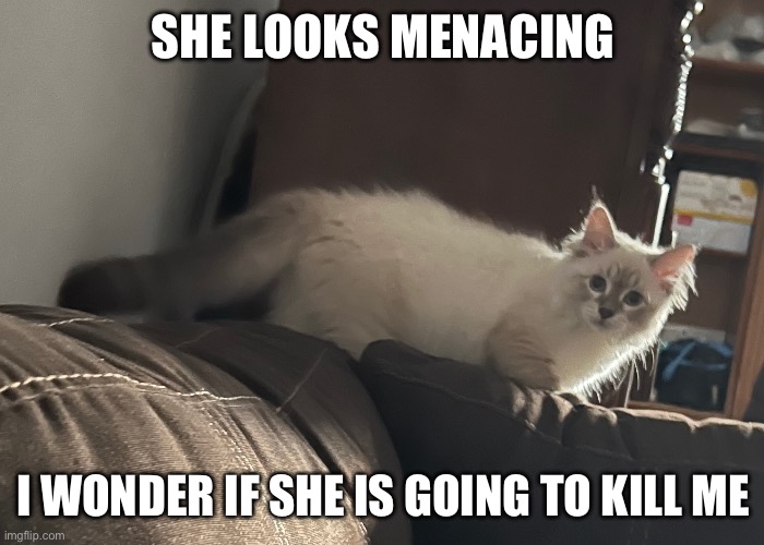 SHE LOOKS MENACING; I WONDER IF SHE IS GOING TO KILL ME | made w/ Imgflip meme maker