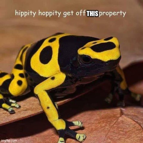 hippity hoppity | THIS | image tagged in hippity hoppity | made w/ Imgflip meme maker