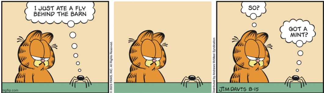 Garfield, August 16, 2023 | image tagged in garfield,spider,fly | made w/ Imgflip meme maker