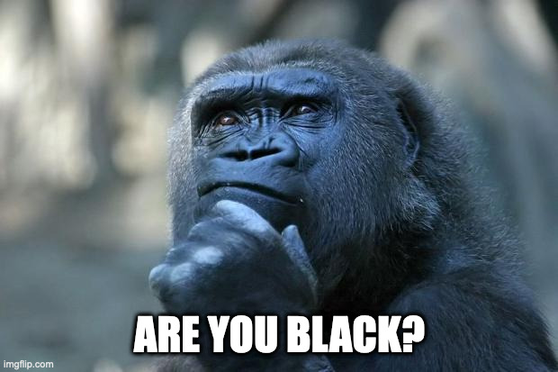 Deep Thoughts | ARE YOU BLACK? | image tagged in deep thoughts | made w/ Imgflip meme maker