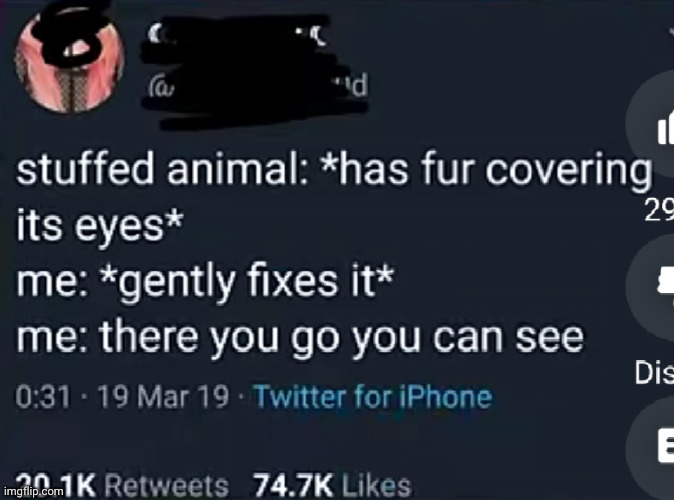 yes now my stuffed animal can see | image tagged in stuffed animal,relatable,so true,funny,fur,animal | made w/ Imgflip meme maker