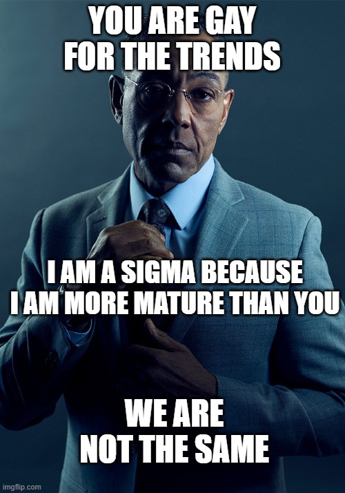 LGBT :( | YOU ARE GAY FOR THE TRENDS; I AM A SIGMA BECAUSE I AM MORE MATURE THAN YOU; WE ARE NOT THE SAME | image tagged in gus fring we are not the same | made w/ Imgflip meme maker