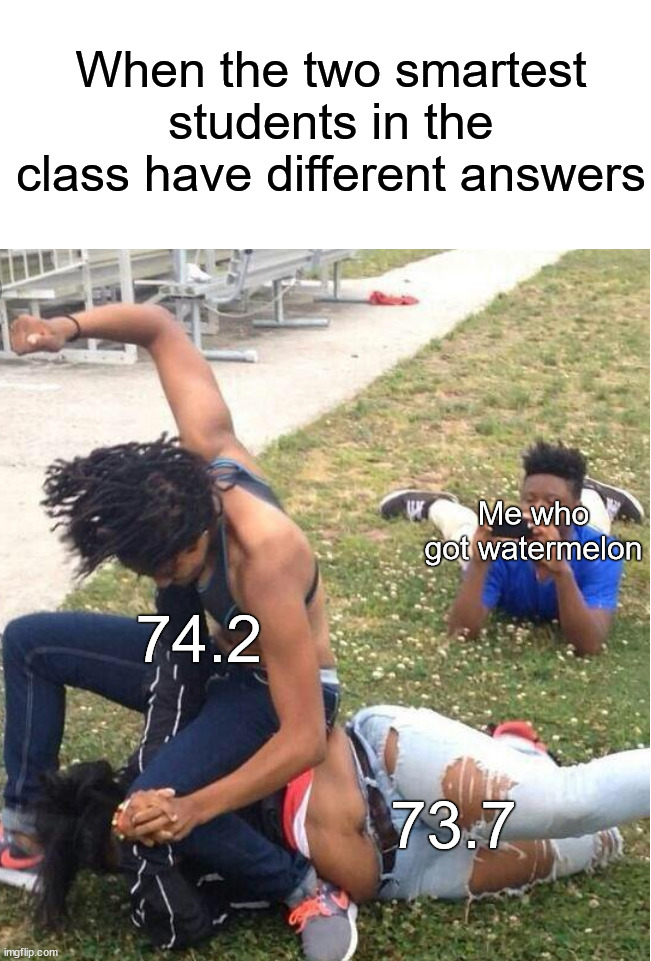 I still don't know how I got watermelon ¯\(°_o)/¯ | When the two smartest students in the class have different answers; Me who got watermelon; 74.2; 73.7 | image tagged in guy recording a fight,memes,funny,school,class,relatable memes | made w/ Imgflip meme maker