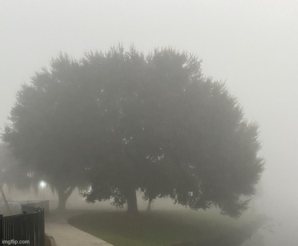 fog | image tagged in come out of the fog 2022,fog | made w/ Imgflip meme maker