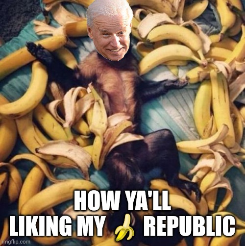 monkey bananas | HOW YA'LL LIKING MY 🍌 REPUBLIC | image tagged in monkey bananas | made w/ Imgflip meme maker