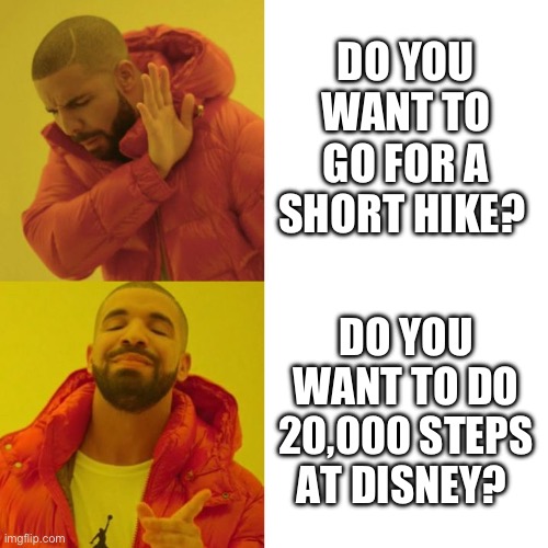 Drake disney | DO YOU WANT TO GO FOR A SHORT HIKE? DO YOU WANT TO DO 20,000 STEPS AT DISNEY? | image tagged in drake blank | made w/ Imgflip meme maker