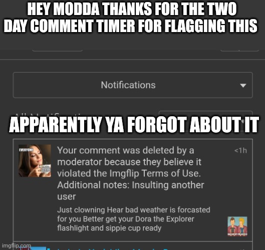 HEY MODDA THANKS FOR THE TWO DAY COMMENT TIMER FOR FLAGGING THIS; APPARENTLY YA FORGOT ABOUT IT | image tagged in comments,moderators | made w/ Imgflip meme maker