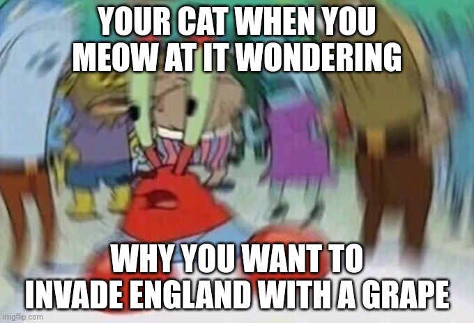 When you meow at your cat *not original* | YOUR CAT WHEN YOU MEOW AT IT WONDERING; WHY YOU WANT TO INVADE ENGLAND WITH A GRAPE | image tagged in mr crabs | made w/ Imgflip meme maker