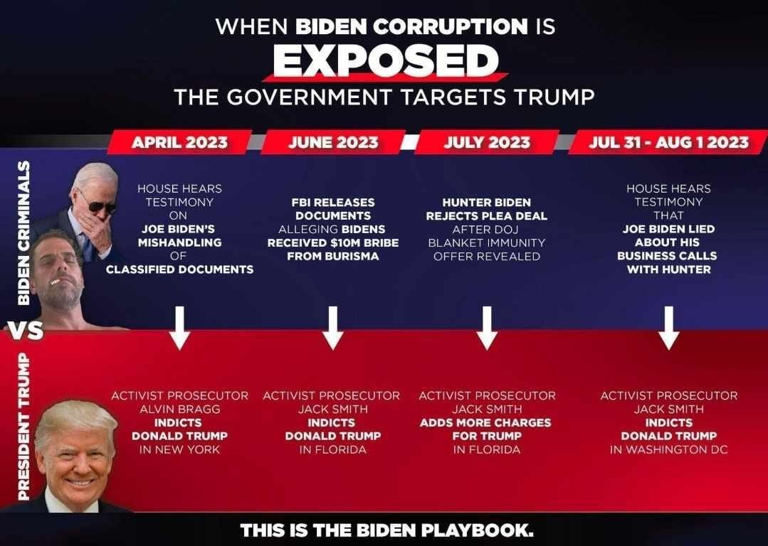 This is the Biden Corruption Playbook | image tagged in biden corruption,playbook,sedition,treason,weaponized politics,government corruption | made w/ Imgflip meme maker